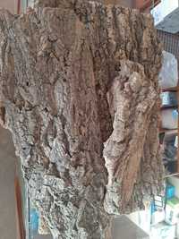 Кора Пробкового дерева
