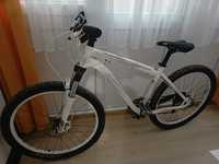 Specialized rockhopper comp