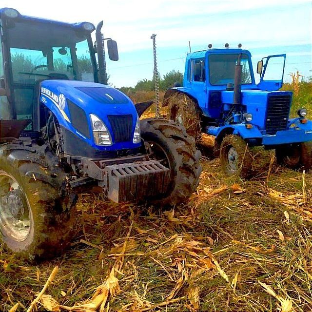 Belarus .MTZ 80.