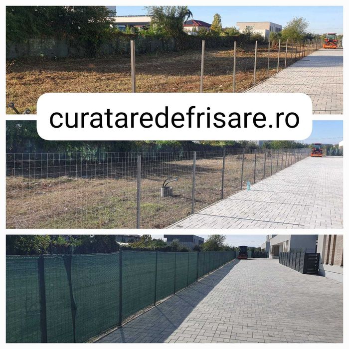 Salubrizare si igienizare terenuri si curti, intretinere