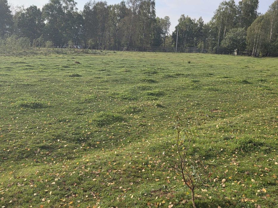 Vând teren intravilan/extravilan