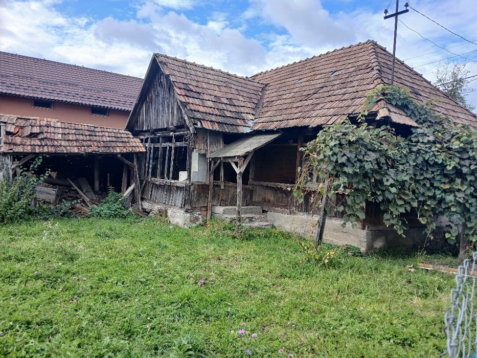 Vand casa de Brad cu 3 camere