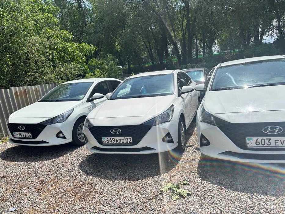 Аренда автоHyundai Accent