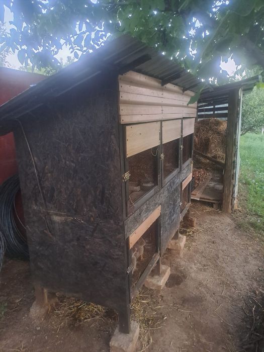 Coteț pentru iepuri