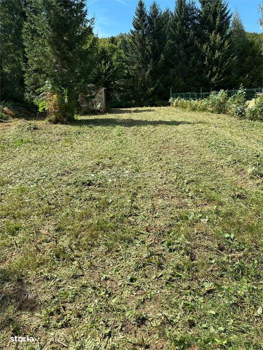 Teren intravilan de vanzare 500 mp Valea Avrigului