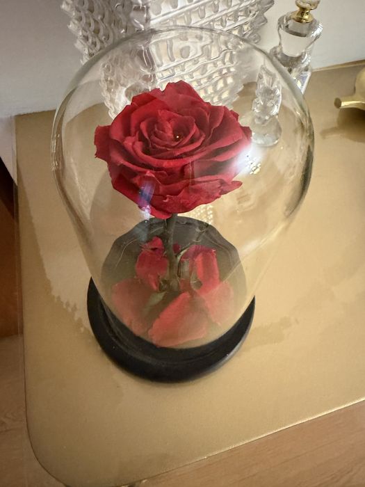 Цветок Живой Розы в колбе