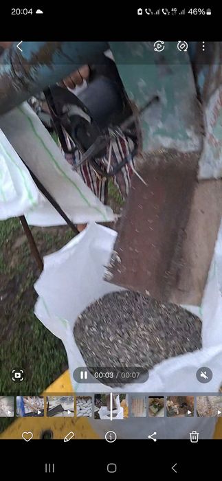 Semințe pestrițe și meii