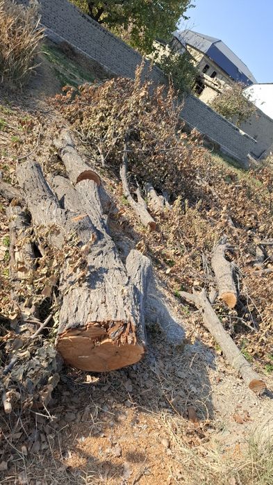 Залдори утинлари сотилади