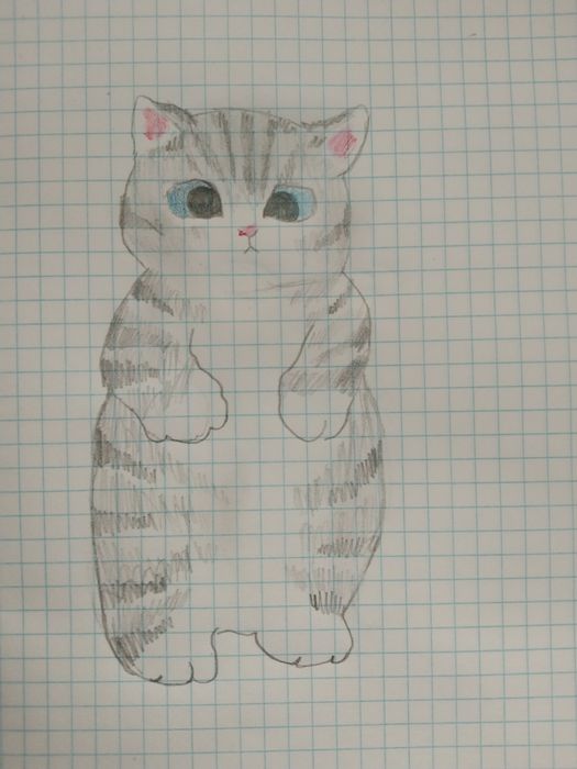 Рисую домашних животных на заказ