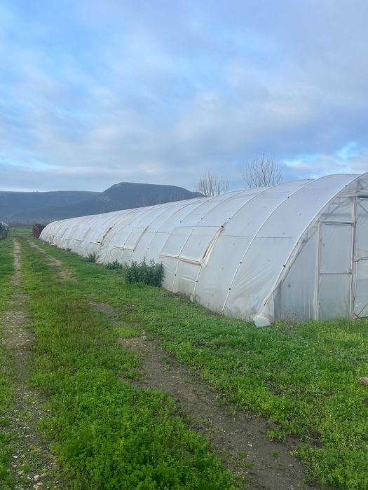 Полиетиленови оранжерии