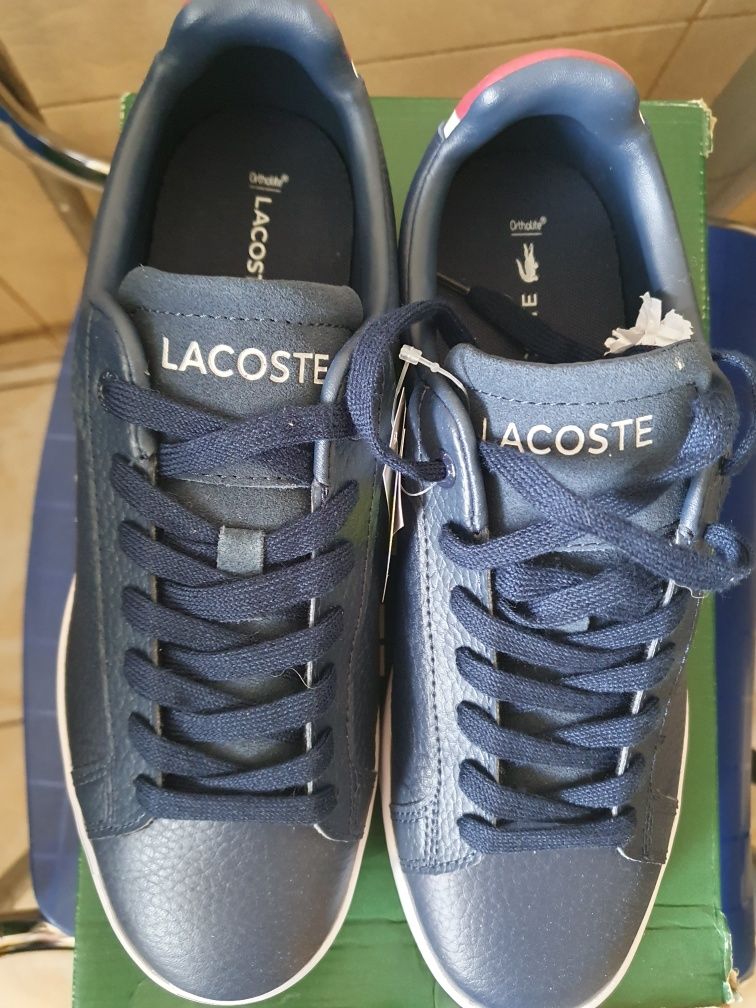 Vand adidas originals lacoste