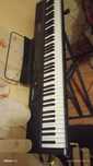Vand Pian Artesio 88 clape usoare