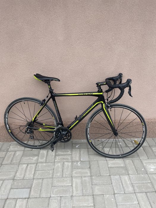 Cursiera bergamont dolce