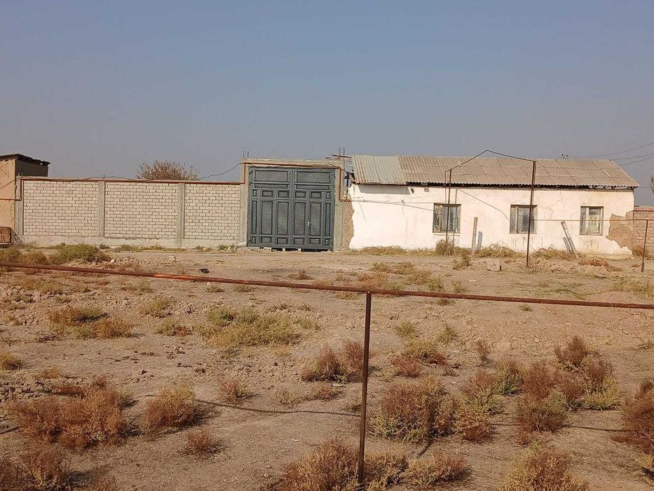 Ферма Тошкент вилояти Уртасарай (БУҚА)