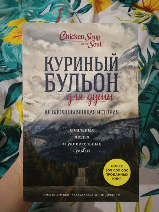 Книга куриный бульон