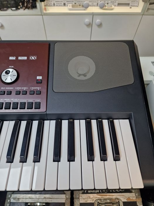 Amanet Vitan 107 / orga Korg PA700