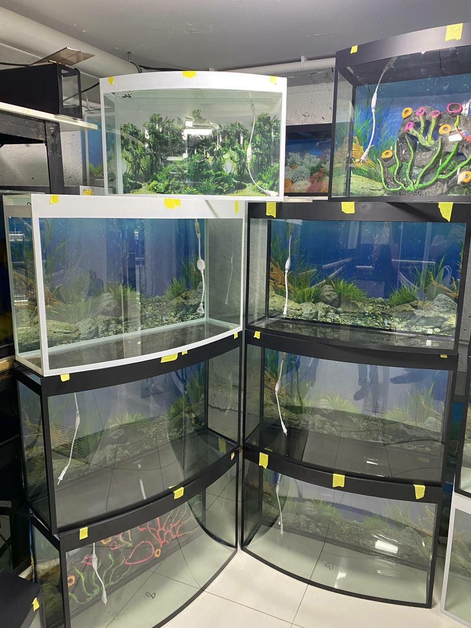 AquaTerra Akvarium Do'koni