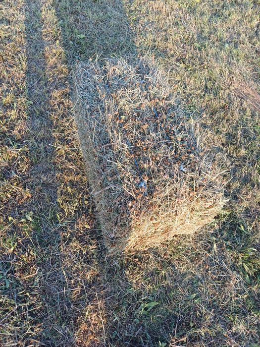 Baloti de otava de fan