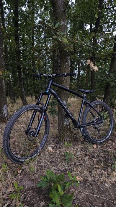 Rockrider st520 full costom