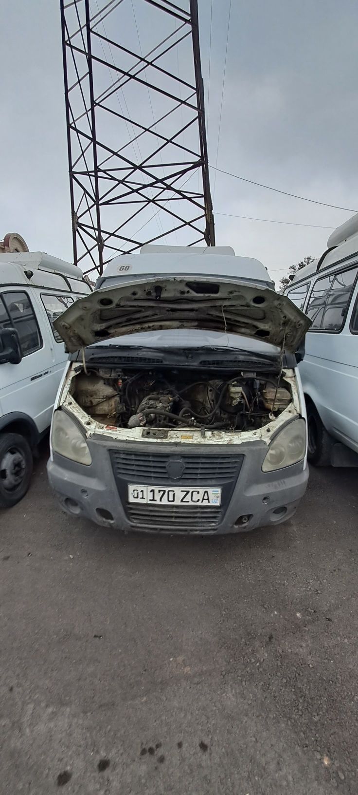 Gazel sotiladi. 2012 yil 2013 yilari bor