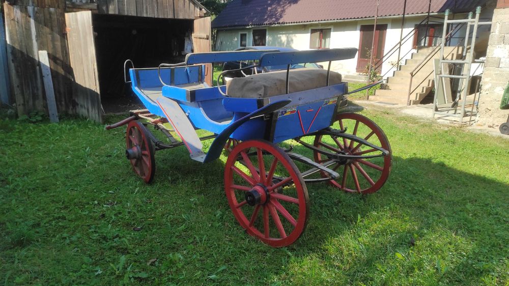 Trăsura de vânzare