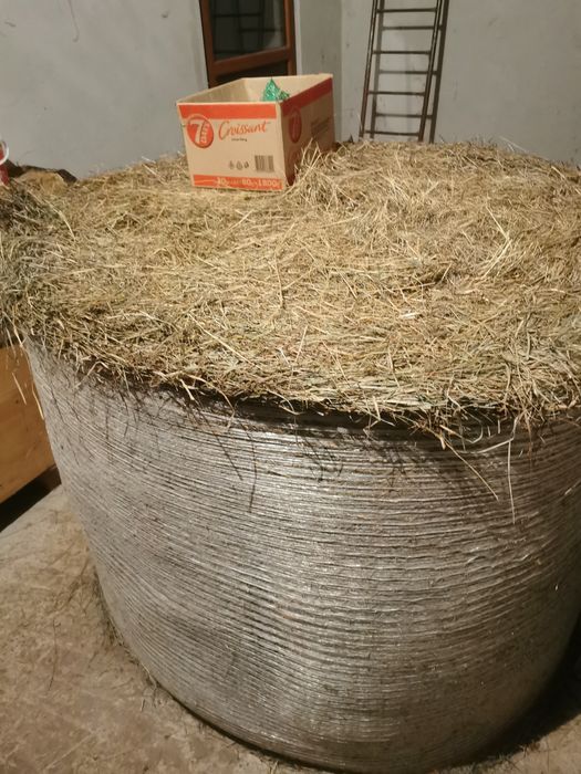 Vând Balot rotund fân sau schimb cu grâu