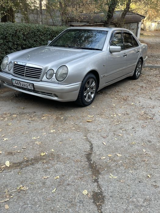 Продам лупастого