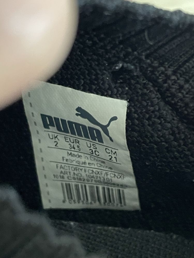 Калеври 34 н Puma