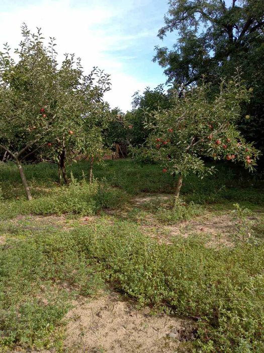 Продава се Къща в с. Станево, Област Монтана - 100 кв.м за 77 €/кв.м - Снимка #10