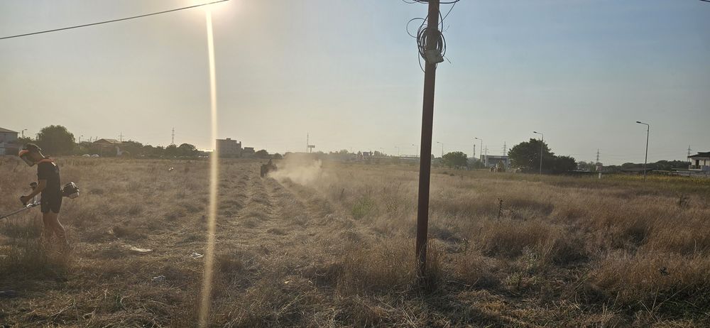 Defrisare mecanizata -curatare terenuri transport resturi vegetale