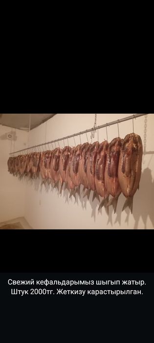 Копченное кефаль бар свежий.