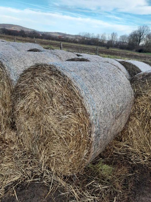 Baloti paie de grau