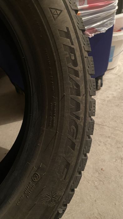 Зимние шины triangle