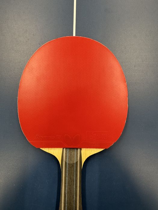 Гуми за тенис на маса BUTTERFLY Dignics 05 & 09c