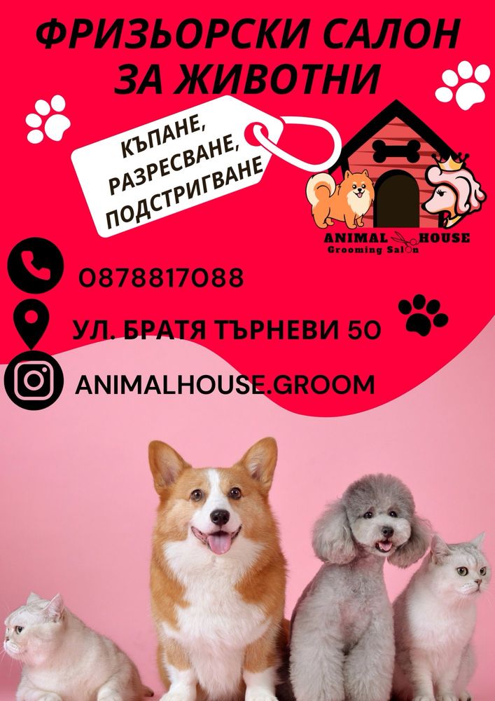 Груминг услуги Animal House пловдив
