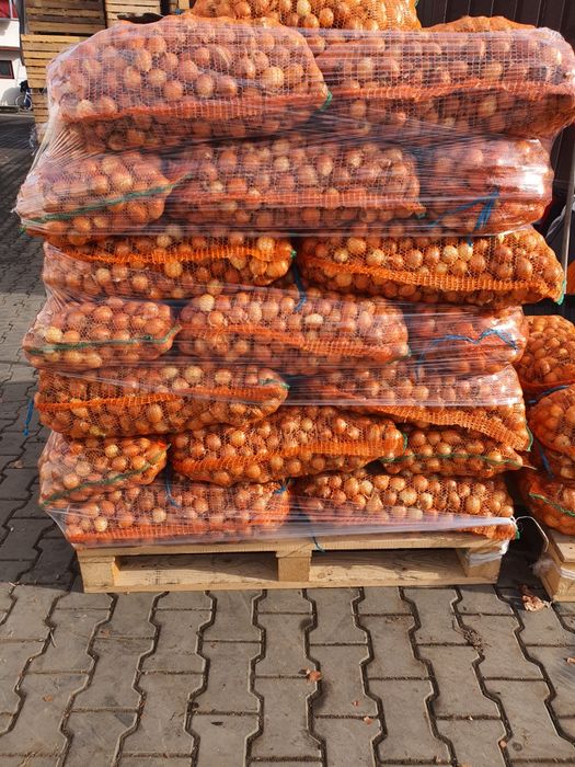 Ceapa  pentru stufat