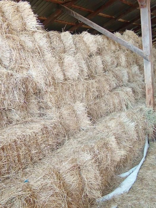 Baloti de vânzare fin