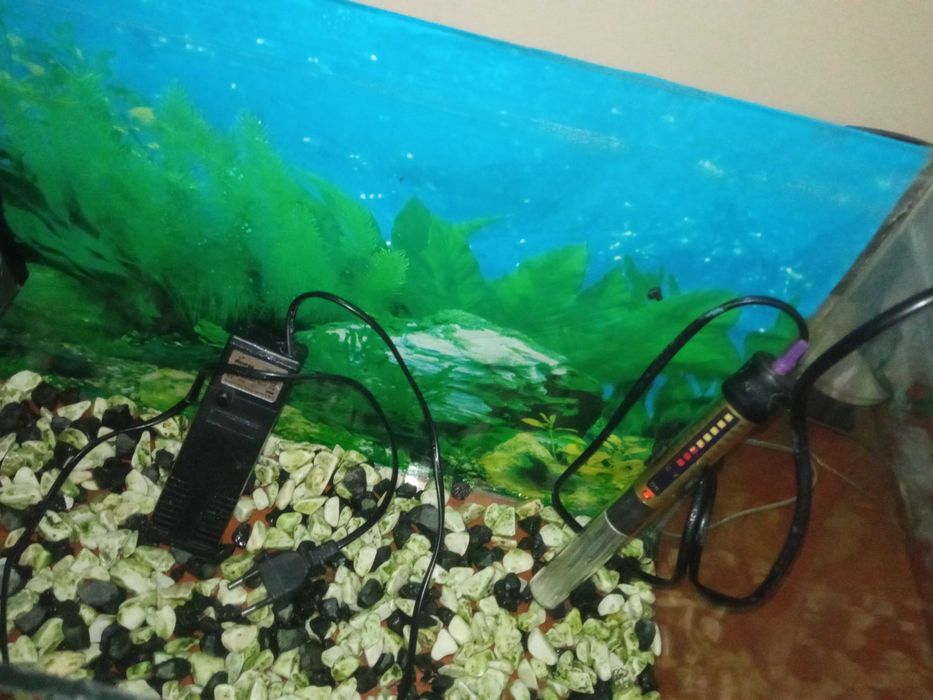 Аквариум 50 литра - оборудван