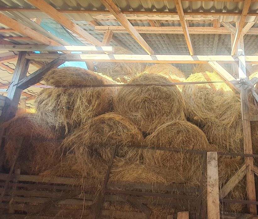 Baloti rotunzi 120/120