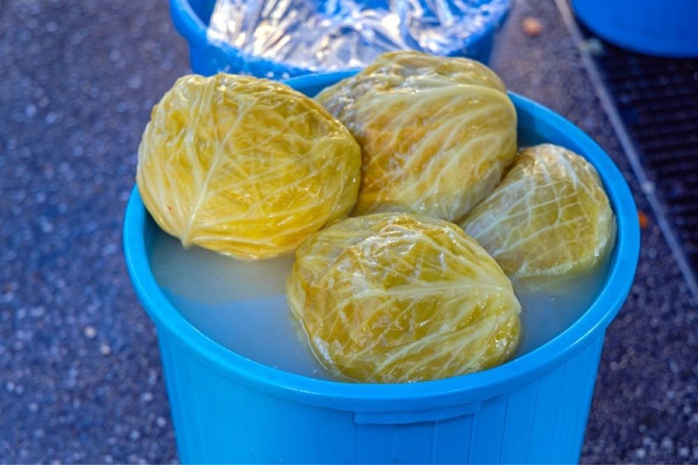 Varza MURATA soi Romaneasca sau Marloo