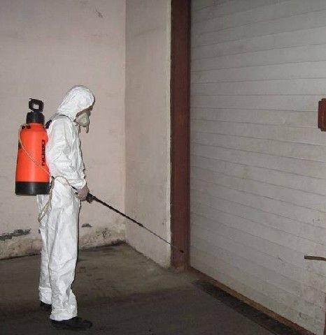 Dezinsectie Deratizare