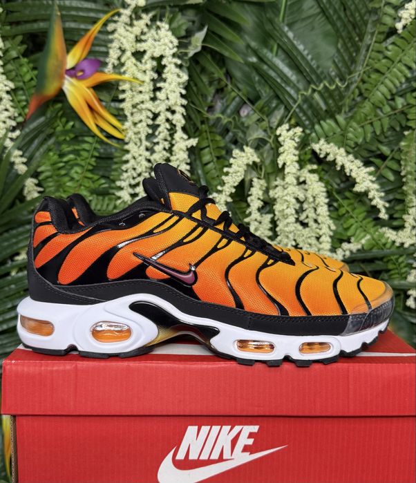 Nike Air Max Plus TN Sunset