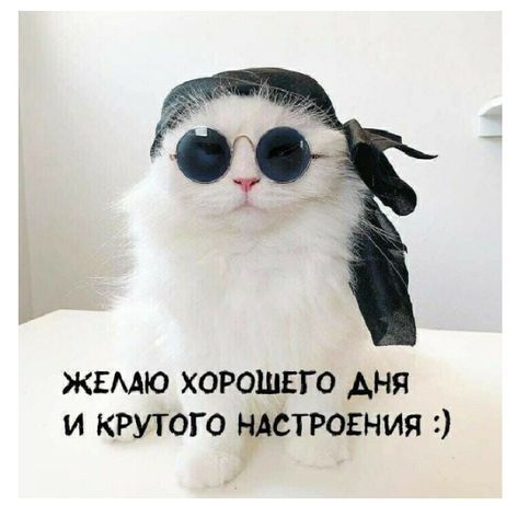 Разнорабочии грузчики