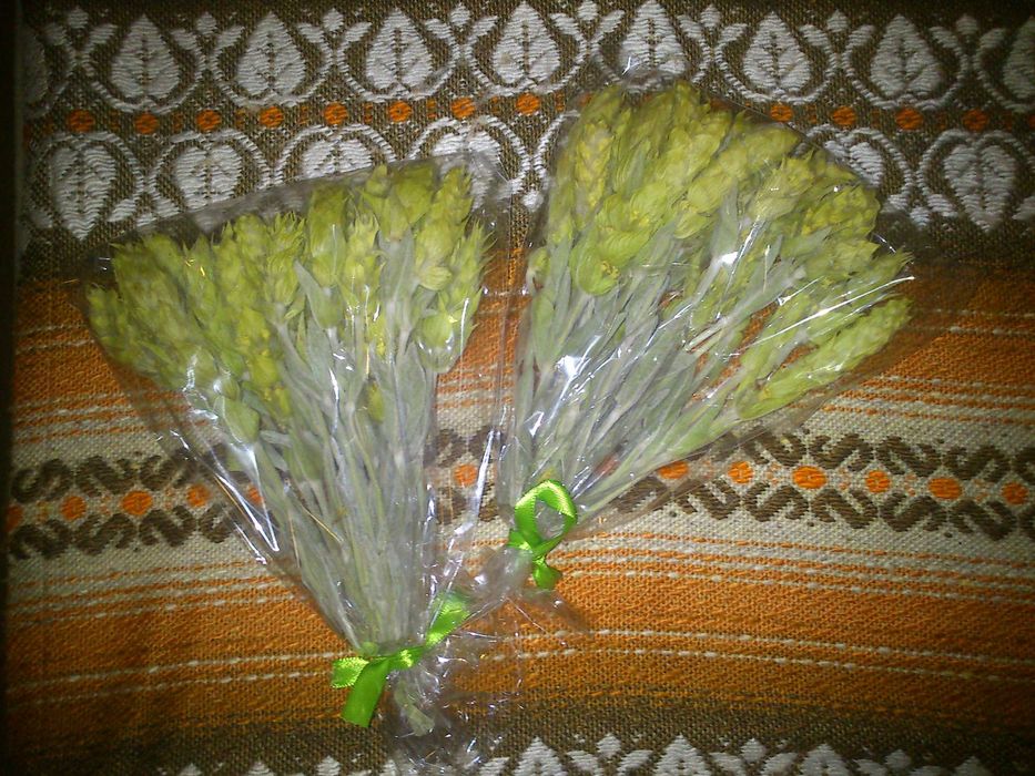 Мурсалски чай от производител