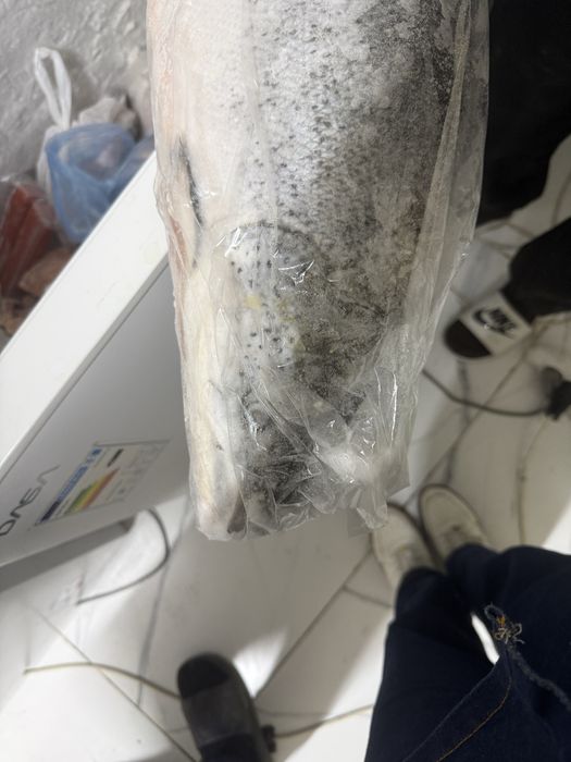 Семга голова продается кг 500 тг