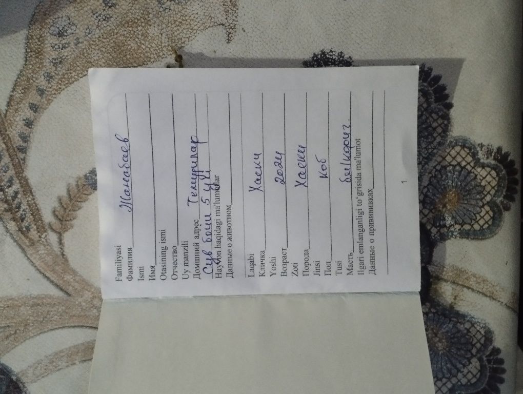 Срочно продаётся собако