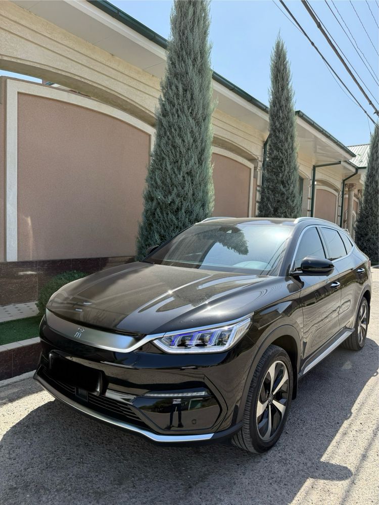 Byd song plus 2023 yil srochna sotiladi