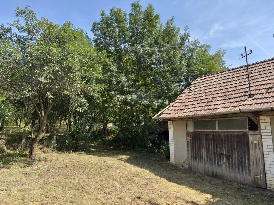 Teren intravilan 4.300 mp Suatu cu casă demolabilă și livadă