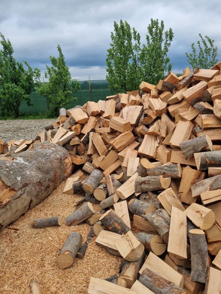 Vindem lemne de foc fag esenta tare paletizate