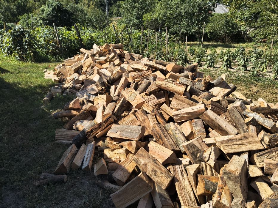 Lemne de foc Cuburi de Fag Cuburi de Brad